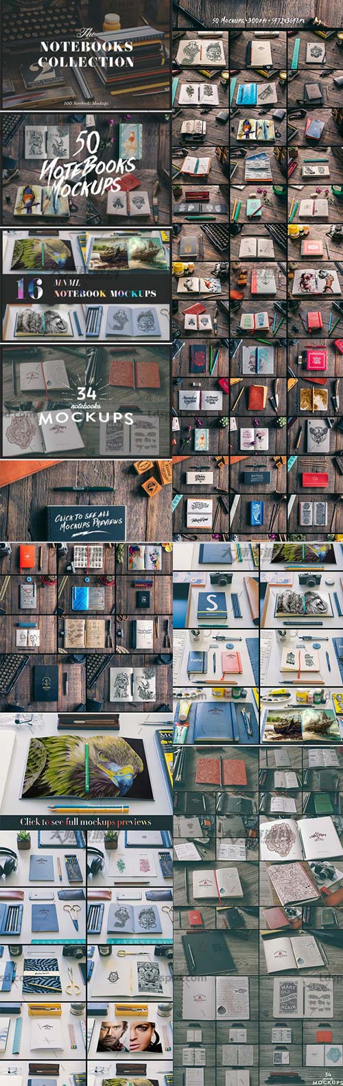 The Notebooks Bundle,100个笔记本展示模型